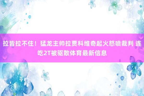 拉皆拉不住！猛龙主帅拉贾科维奇起火怒喷裁判 连吃2T被驱散体育最新信息
