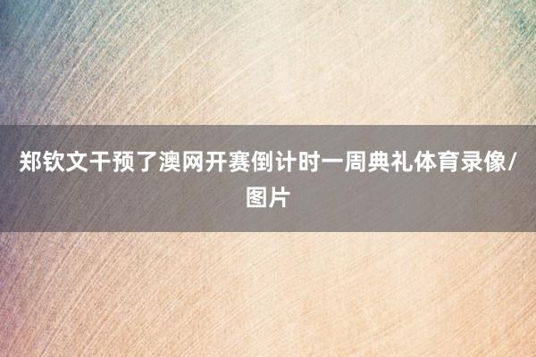 郑钦文干预了澳网开赛倒计时一周典礼体育录像/图片