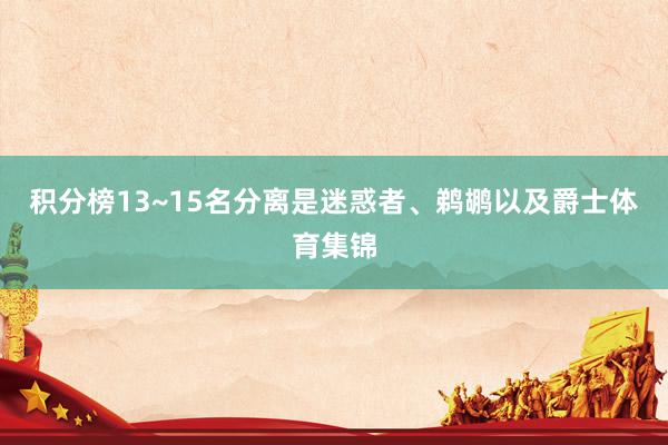 积分榜13~15名分离是迷惑者、鹈鹕以及爵士体育集锦
