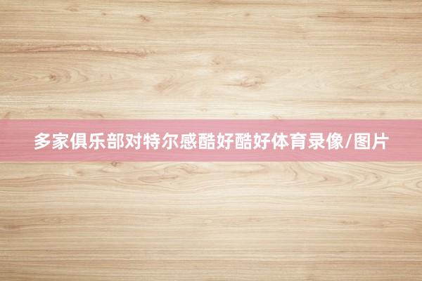 多家俱乐部对特尔感酷好酷好体育录像/图片