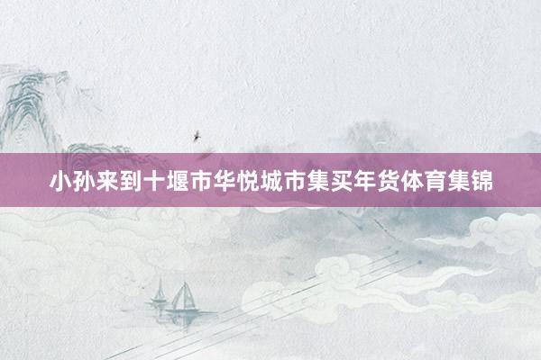 小孙来到十堰市华悦城市集买年货体育集锦