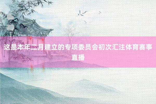 这是本年二月建立的专项委员会初次汇注体育赛事直播
