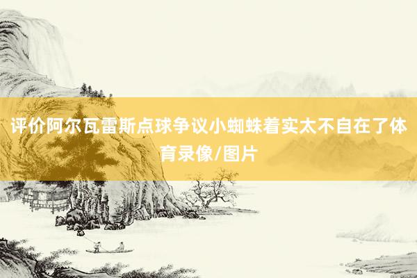 评价阿尔瓦雷斯点球争议小蜘蛛着实太不自在了体育录像/图片