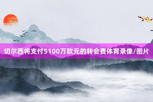 切尔西将支付5100万欧元的转会费体育录像/图片