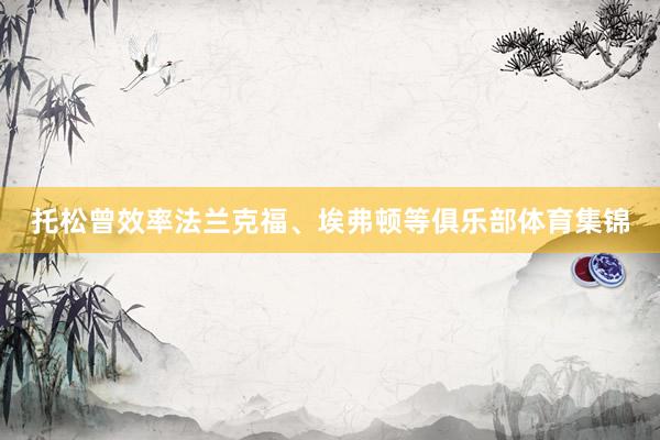 托松曾效率法兰克福、埃弗顿等俱乐部体育集锦