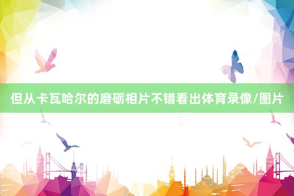 但从卡瓦哈尔的磨砺相片不错看出体育录像/图片