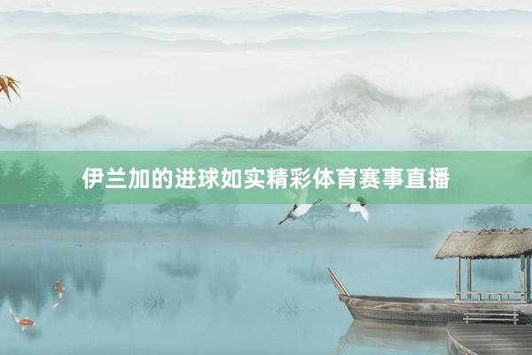 伊兰加的进球如实精彩体育赛事直播