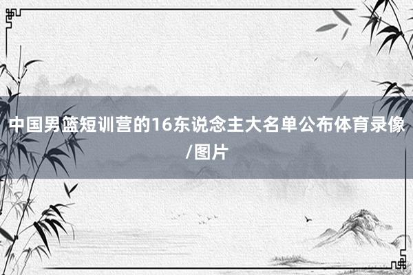 中国男篮短训营的16东说念主大名单公布体育录像/图片