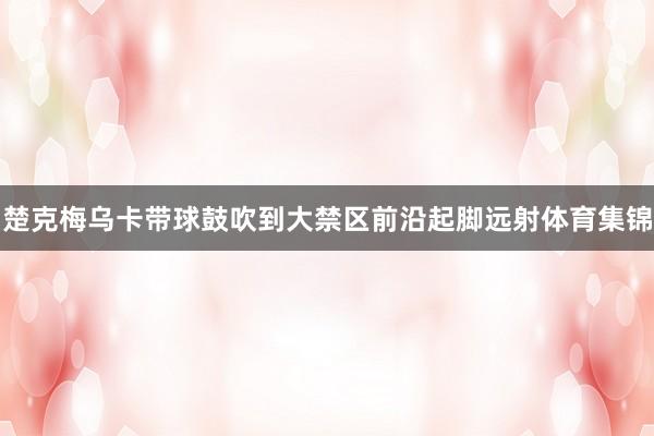楚克梅乌卡带球鼓吹到大禁区前沿起脚远射体育集锦