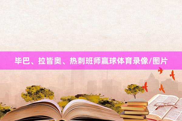 毕巴、拉皆奥、热刺班师赢球体育录像/图片