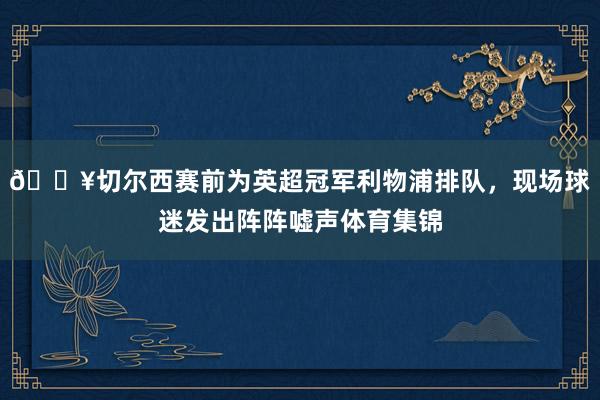 🎥切尔西赛前为英超冠军利物浦排队，现场球迷发出阵阵嘘声体育集锦