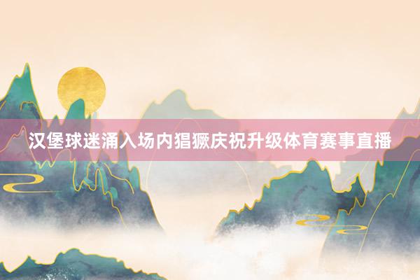 汉堡球迷涌入场内猖獗庆祝升级体育赛事直播