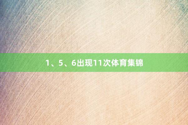 1、5、6出现11次体育集锦