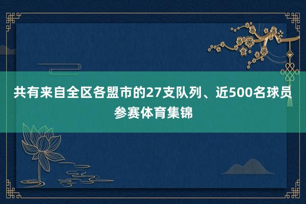 共有来自全区各盟市的27支队列、近500名球员参赛体育集锦