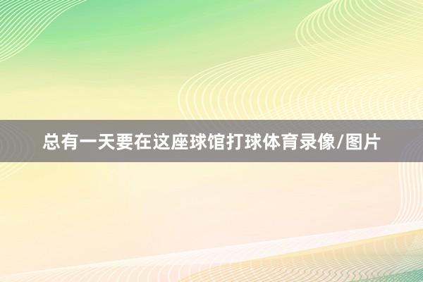 总有一天要在这座球馆打球体育录像/图片