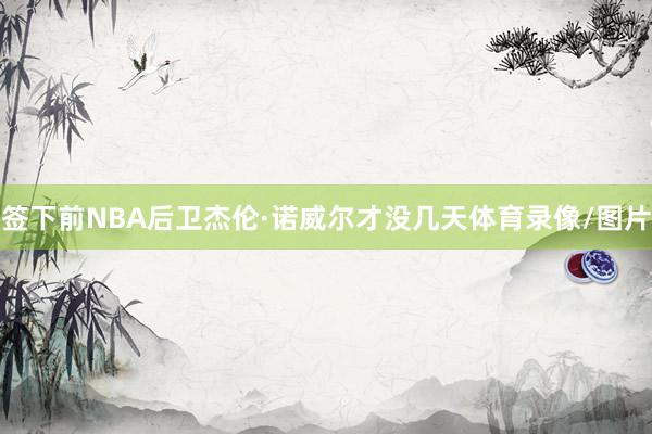 签下前NBA后卫杰伦·诺威尔才没几天体育录像/图片