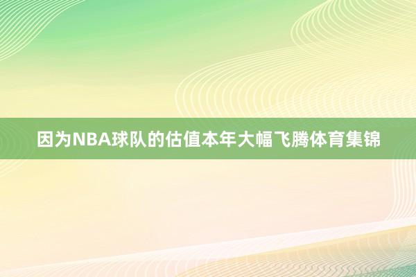 因为NBA球队的估值本年大幅飞腾体育集锦