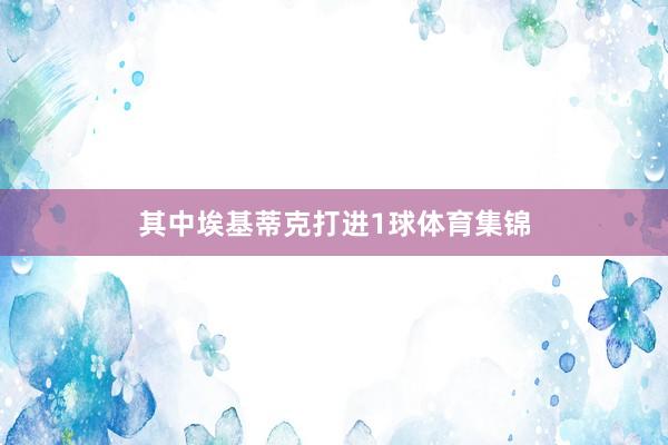 其中埃基蒂克打进1球体育集锦