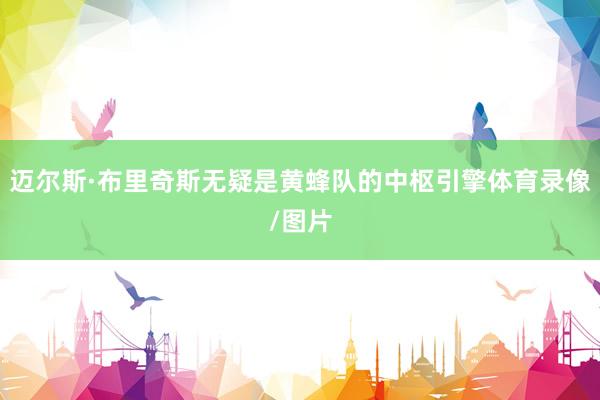 迈尔斯·布里奇斯无疑是黄蜂队的中枢引擎体育录像/图片