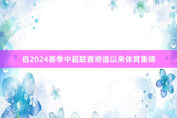 自2024赛季中超联赛缔造以来体育集锦