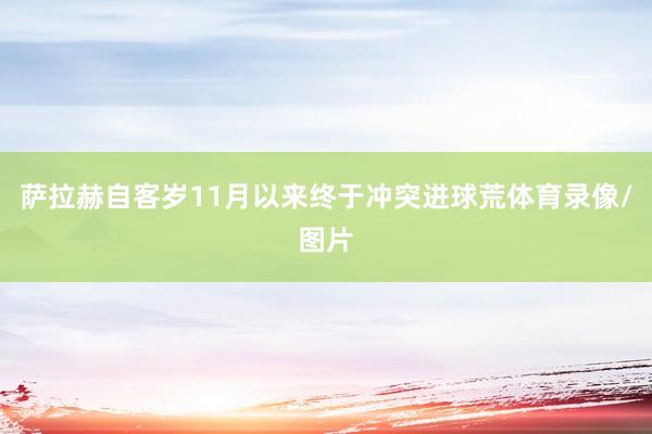 萨拉赫自客岁11月以来终于冲突进球荒体育录像/图片