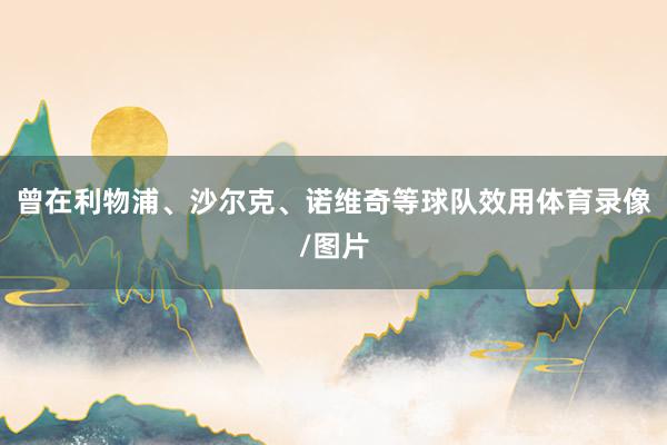 曾在利物浦、沙尔克、诺维奇等球队效用体育录像/图片