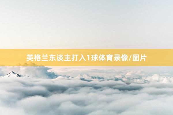 英格兰东谈主打入1球体育录像/图片